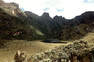 Rwenzori