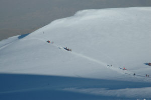 Ararat