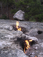 chimaera