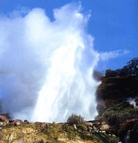 Geyser