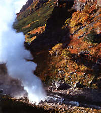 Geyser Valley